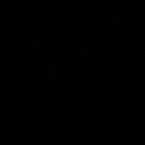 Meet your Posher, Ruben